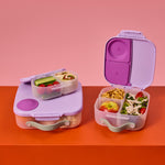 Mini Lunchbox | Sugar Plum