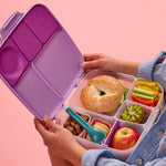 Lunchbox | Sugar Plum