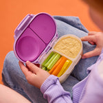 Snackbox | Sugar Plum
