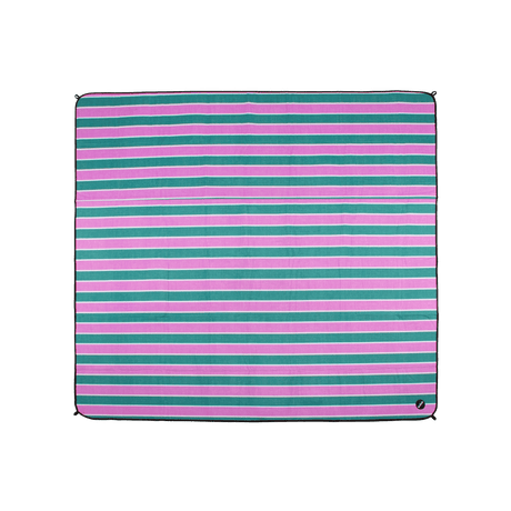 Picnic Mat | Spring Stripe
