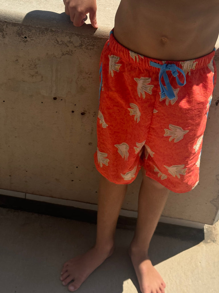 Boardies | Red-Stripe