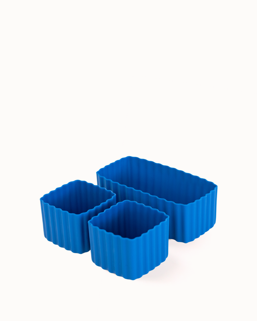 Bento Cups | Reef