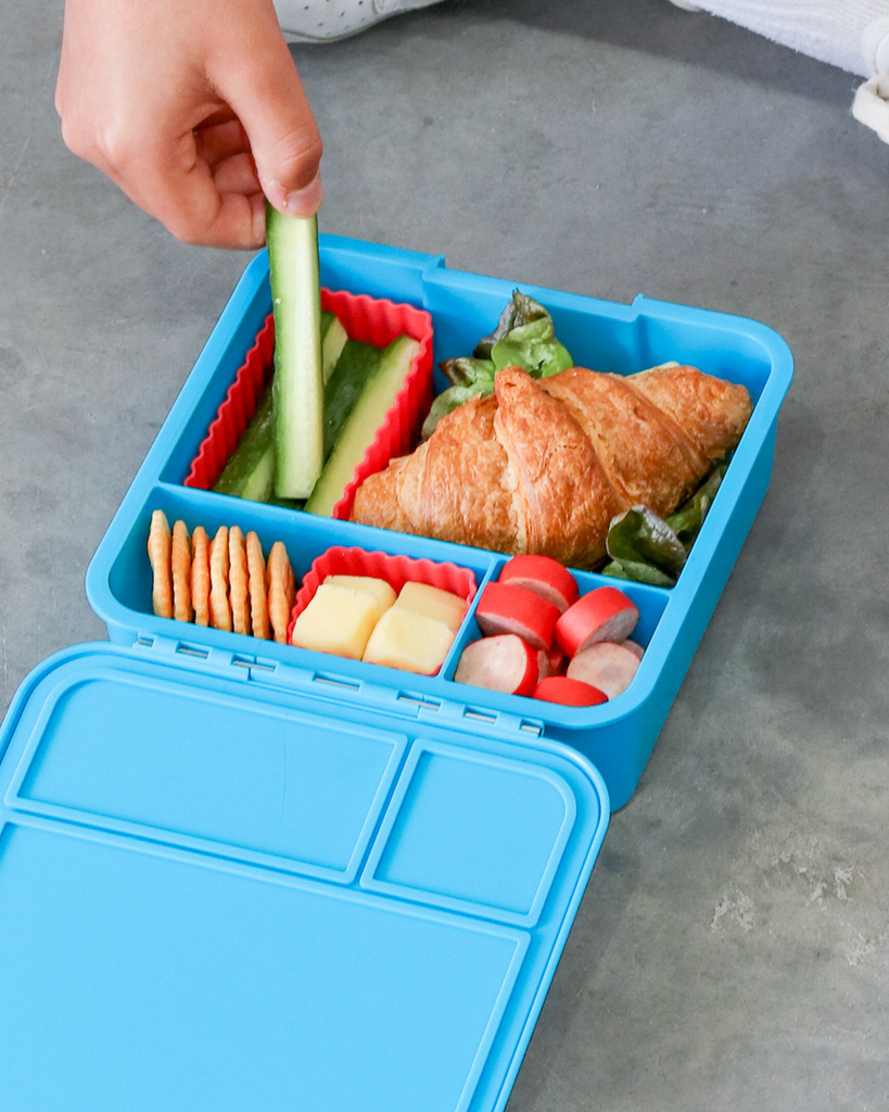 Bento Cups | Watermelon