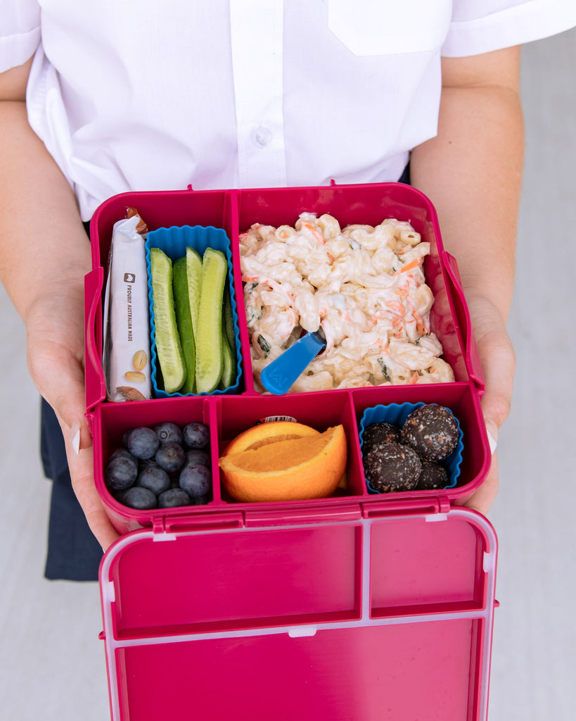 Bento Cups | Reef