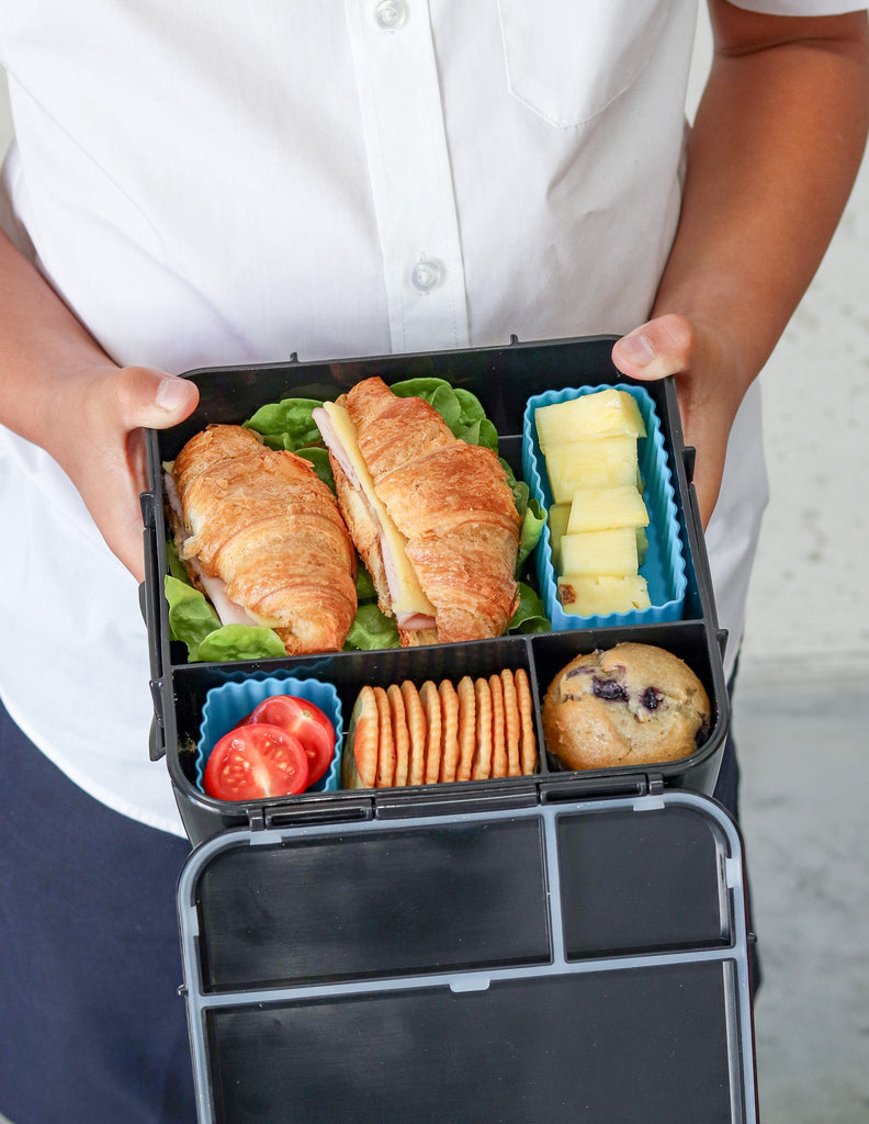 Bento Cups | Coastal