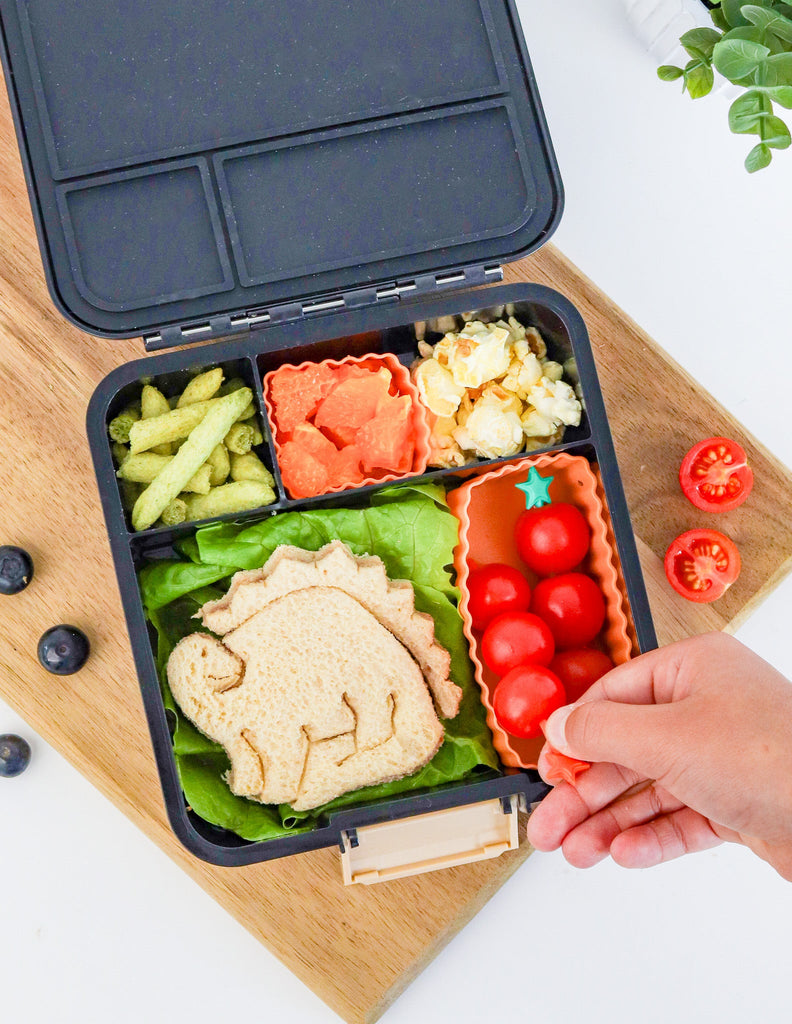 Bento Cups | Tangerine