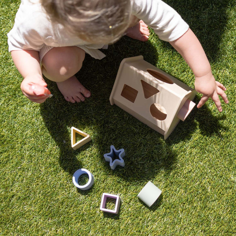 Silicone Set | Shape Sorting