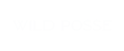 Wild Posse