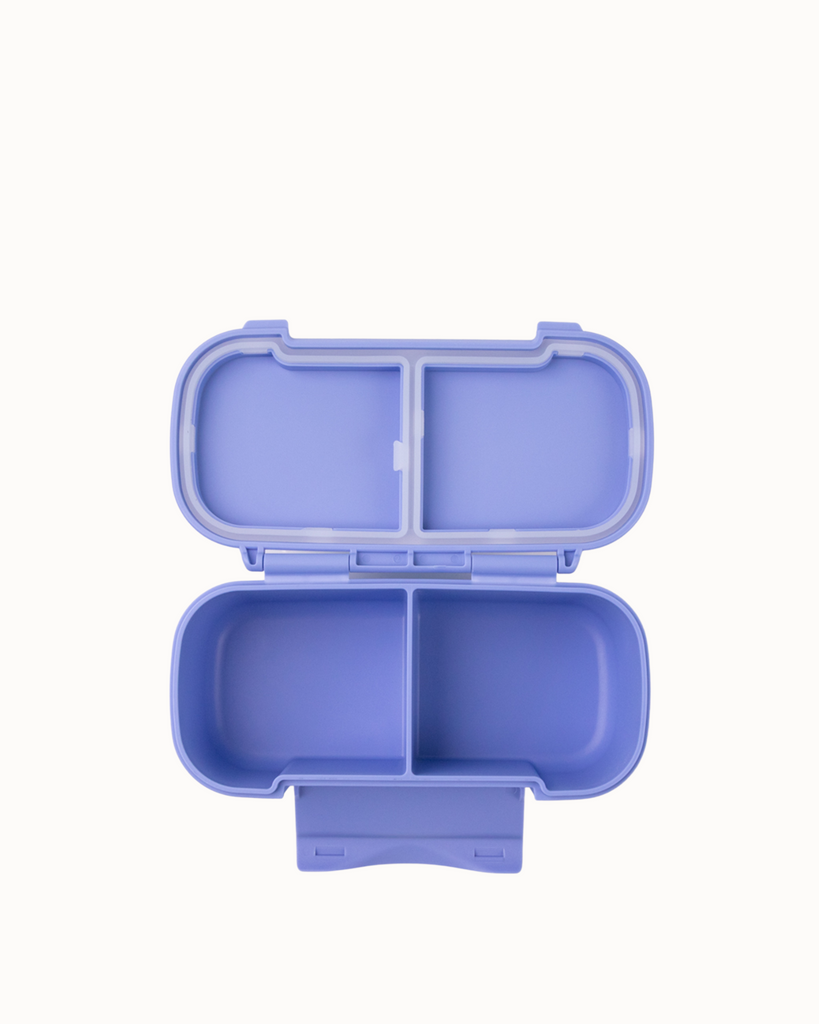 Snack Lunchbox | Splash